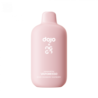 ЭСДН VAPORESSO X OGGO DOJO 20000 2% Клюква Малина